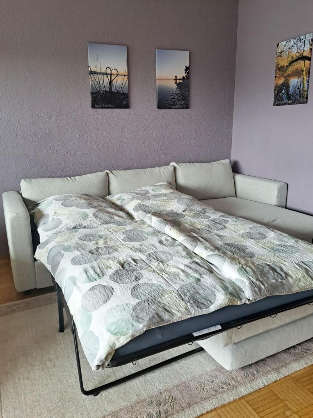 Grosses Apartment Perfekt Fuer Familien - Gaestecard Inklusive フリードリヒスハーフェン エクステリア 写真